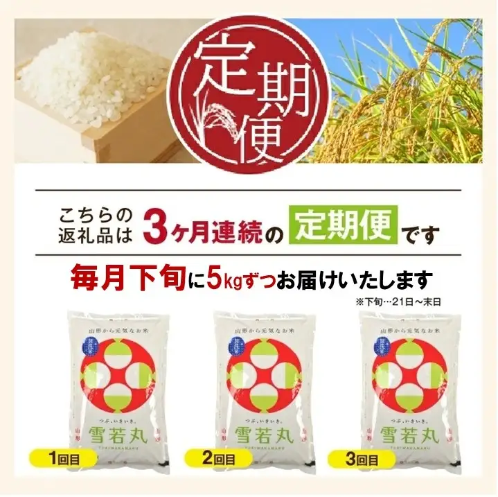 SD0341　11月下旬発送開始／【3回定期便】令和8年産［無洗米］特別栽培米 雪若丸　5kg×3回(計15㎏)「農家直送」 KA