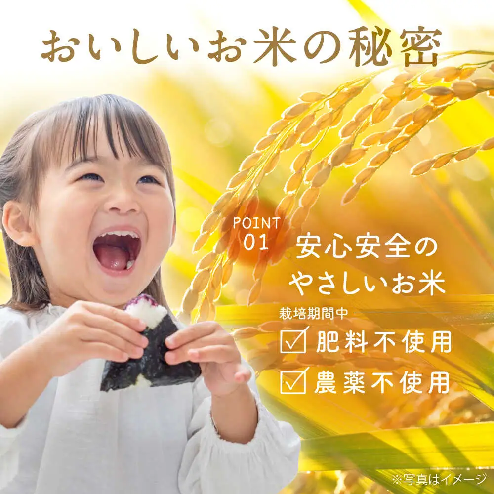 【令和7年度米】4kg・放し飼いたまご20個セット ヒノヒカリれんげ米 元気たまご【浅田峠自然塾】[EA19]