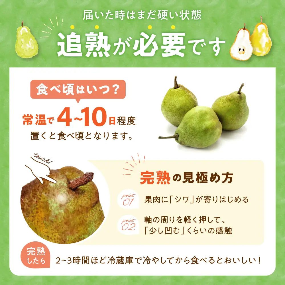【2026年産】 ラ・フランス 5kg（8-25玉）秀品 洋なし