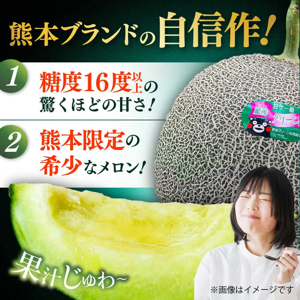 【先行予約】  山鹿の恵み! 匠の育てた　肥後グリーン メロン 約4kg以上（約2kg以上×2玉）【きもと農園】[ZFQ001]