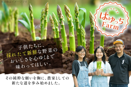 アスパラ アスパラガス 夏芽アスパラガス 4.5kg M L サイズ混合