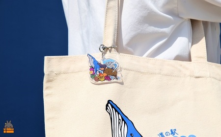 道の駅とくのしまオリジナルキーホルダー（アクリル×星形）  ( キーホルダー アクリルキーホルダー キーリング 道の駅 道の駅とくのしま オリジナル 小物 アイテム 徳之島 奄美 鹿児島 うさぎ アマミノクロウサギ クジラ フルーツ うさぎ 星形カラビナ pokke104 pokkeさん レターパックライト ポストイン配送 )