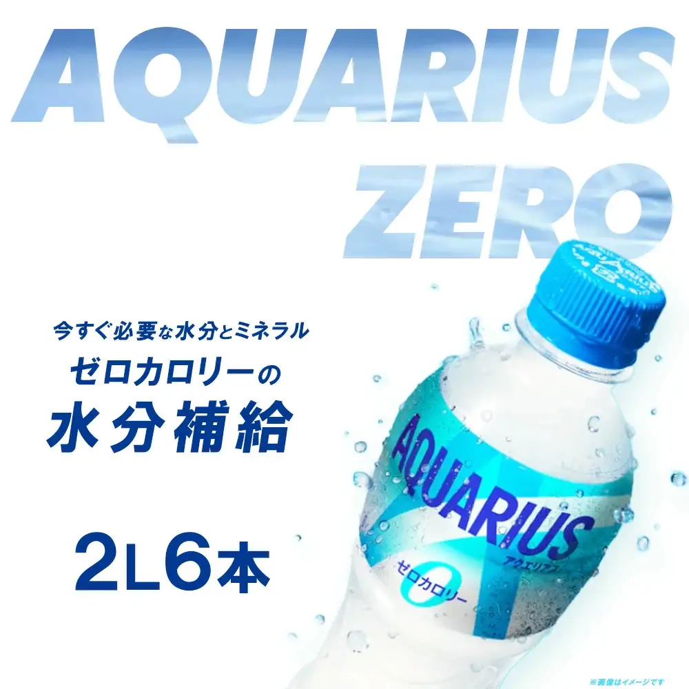【最短5営業日着！】アクエリアスZERO 2L PET×6本　【04301-0531】