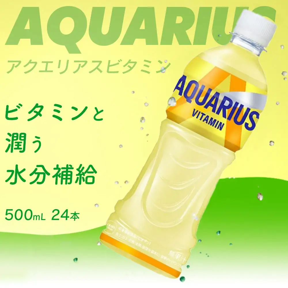【6か月連続お届け】アクエリアス ビタミン　500ml PET×24本　【04301-0687】