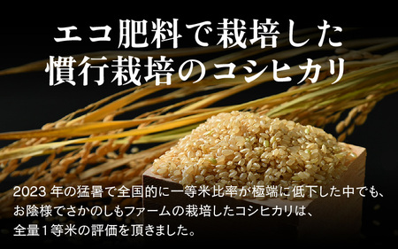 【令和6年産】エコ栽培 コシヒカリ 玄米10kg（5kg×2） ／ 米 鮮度抜群 福井県産 こしひかり ご飯 新鮮 玄米 [aw063-b005]