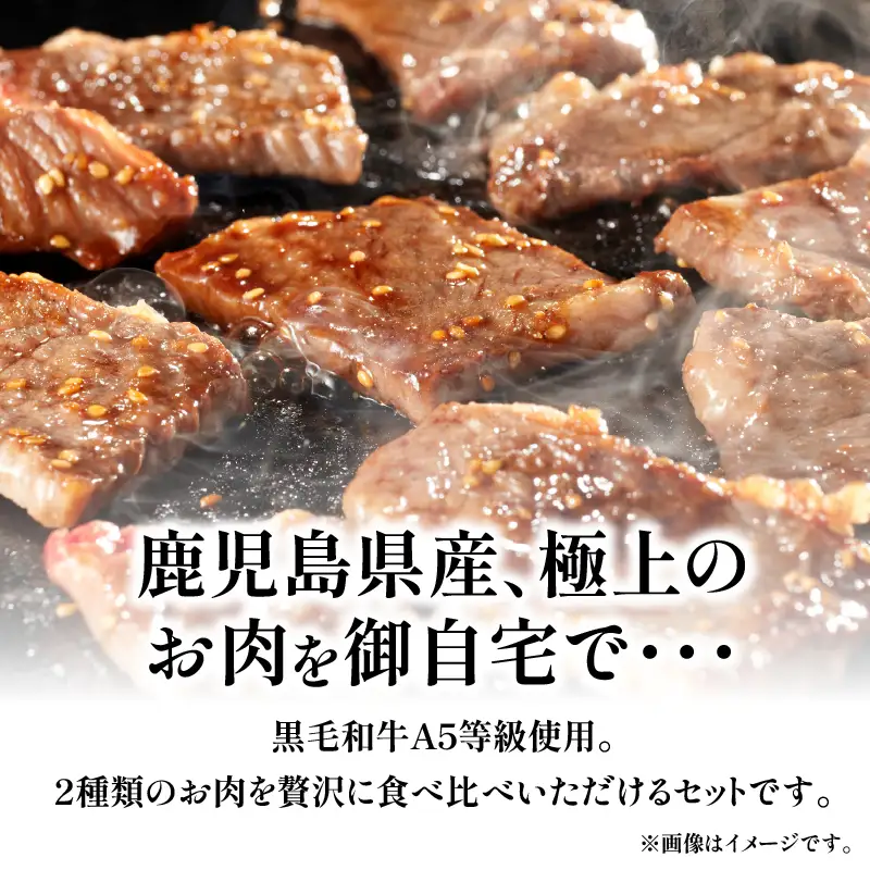 【10営業日以内に発送】黒毛 和牛 味比べ 焼肉セット 約600g K265-005 スピード配送 最短 すぐ届く お急ぎ