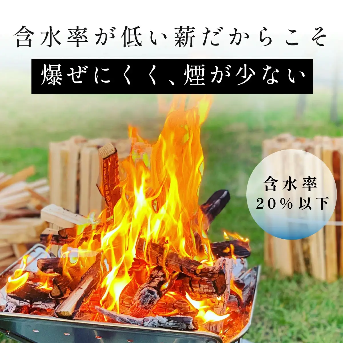 薪 乾燥済 丹波篠山産 100kg(20kg×5箱） 薪