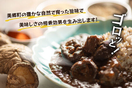 カレー レトルト 山師のおひさま なばカレー 宮崎牛 原木椎茸 使用 180g