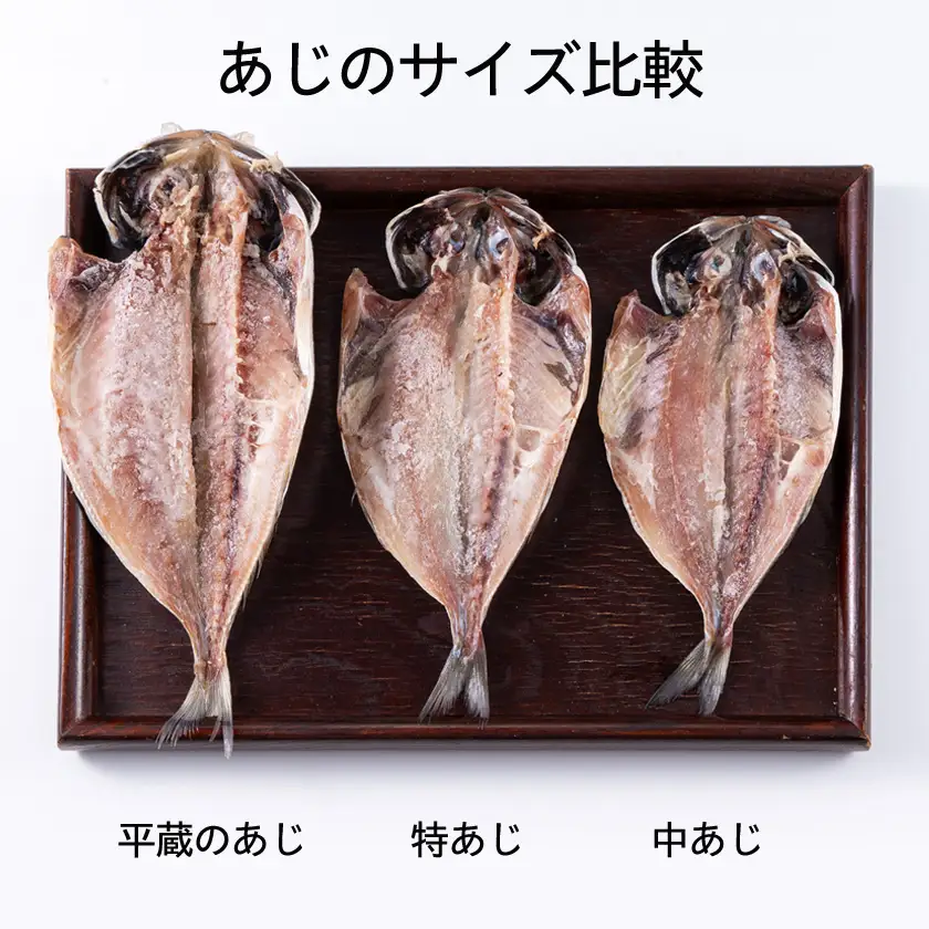 干物セット【特トロあじ10枚セット】　伊豆・伊東のひもの詰め合わせ　静岡県伊東_魚介・海産物  鮮魚 _【配送不可地域：離島】【1607078】