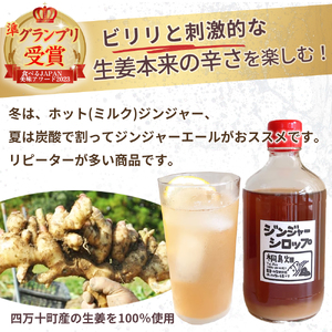 栽培期間農薬・化学肥料不使用の生姜で作った「桐島畑のジンジャーシロップ」480g×2本　Fkh-A05 　／生姜 しょうが 生姜シロップ 無農薬 ジンジャエール おすすめ