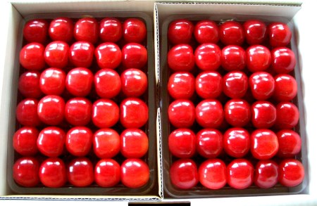 【2026年発送】「秀品」さくらんぼ佐藤錦1kg（2L玉以上・化粧箱・贈答用手詰）_H038(R8)