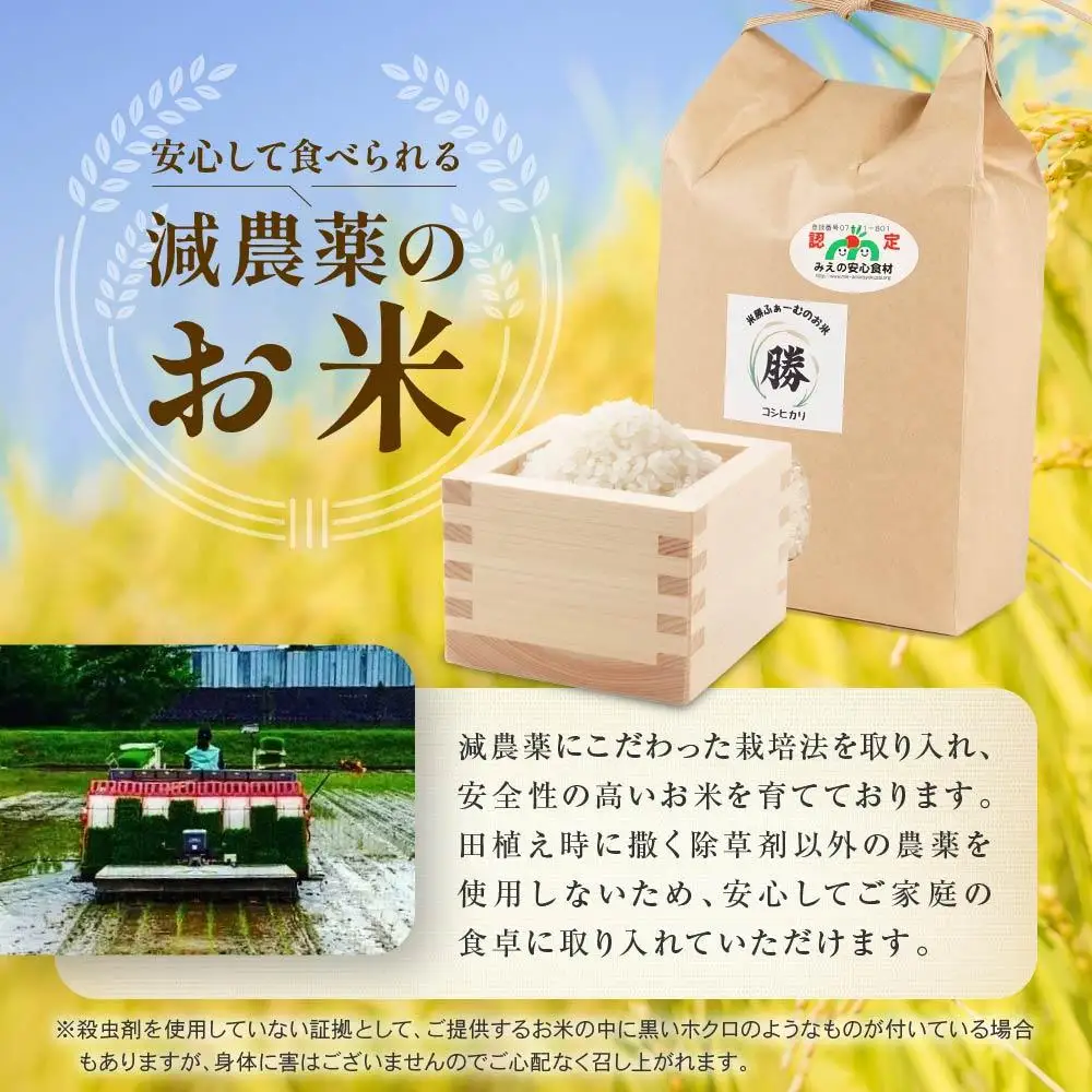 令和7年産三重県減農薬コシヒカリ 4キロ（2キロ×2) ／ 米  精米 お米 人気 