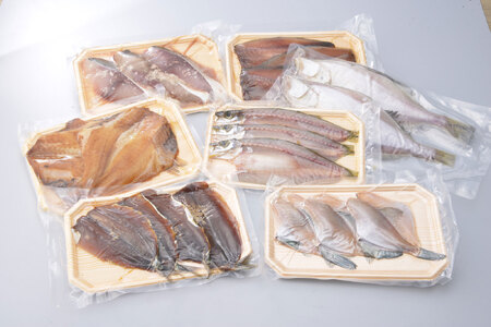 海鮮干物詰め合わせセット 能登の朝どれ「いきいき七尾魚」 | 干物