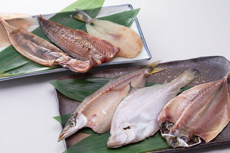 魚介類/干物セット/能登 里海 里干しの詰め合せ（かます・カレイ・ふぐ・あじ・さば・いか・いわし）干物セット ※2024年1月下旬頃より順次発送予定