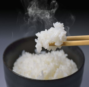 【3ヶ月定期便】こしひかり10kg（5kg×2袋）×3回　農業世界遺産認定！「能登の里山里海」で育ったお米 ◇｜ 石川県 七尾市 七尾産 ※2025年2月上旬頃より順次発送予定