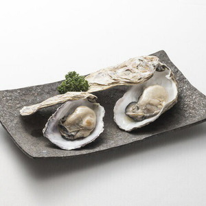 牡蠣の米油漬け2個入★能登の里海の濃厚な味わい★(130ｇ×2個) カキ オイル漬け 贈答 ギフト