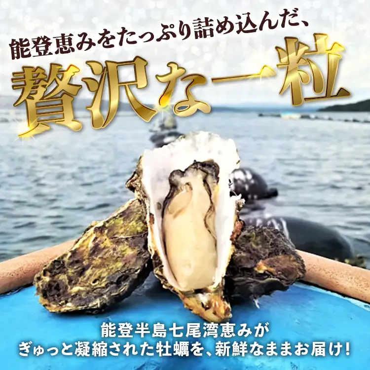 【能登半島地震復興支援】【発送時期が選べる】魚介類 牡蠣 / 能登かき 殻付 牡蠣 約3.5kg（約30個）専用ナイフ・片手用軍手付 ※加熱用 ※2027年1月下旬～5月下旬頃に順次発送予定 ｜ 牡蠣 殻付き