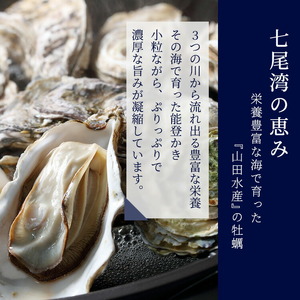 能登かき むき身 800g～850g（箱入り）◇ | 牡蠣 ※2027年1月～発送