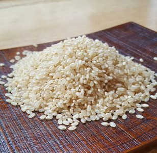 【能登半島地震復興支援】米 玄米 20kg /七尾産コシヒカリ 玄米20kg（10Kg×2袋） | 米 ※2025年10月下旬頃より順次発送予定