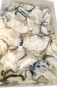 【能登半島地震復興支援】【発送時期が選べる】魚介類 牡蠣 / 水上水産の能登のかき むき身 約800g～900g入（30～40粒位） | 牡蠣 ※2027年1月～発送