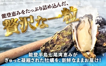 【能登半島地震復興支援】【発送時期が選べる】魚介類 牡蠣／能登かき 殻付牡蠣 一斗缶/約10kg（約80～100個） 専用ナイフ 片手用軍手付 ※要加熱 ※2027年1月下旬～5月下旬頃に順次発送予定 ｜ 牡蠣 殻付き