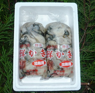 能登かきむき身・加熱用［むき身450g×2個］ ※2026年12月～発送 ｜ 牡蠣 むき身