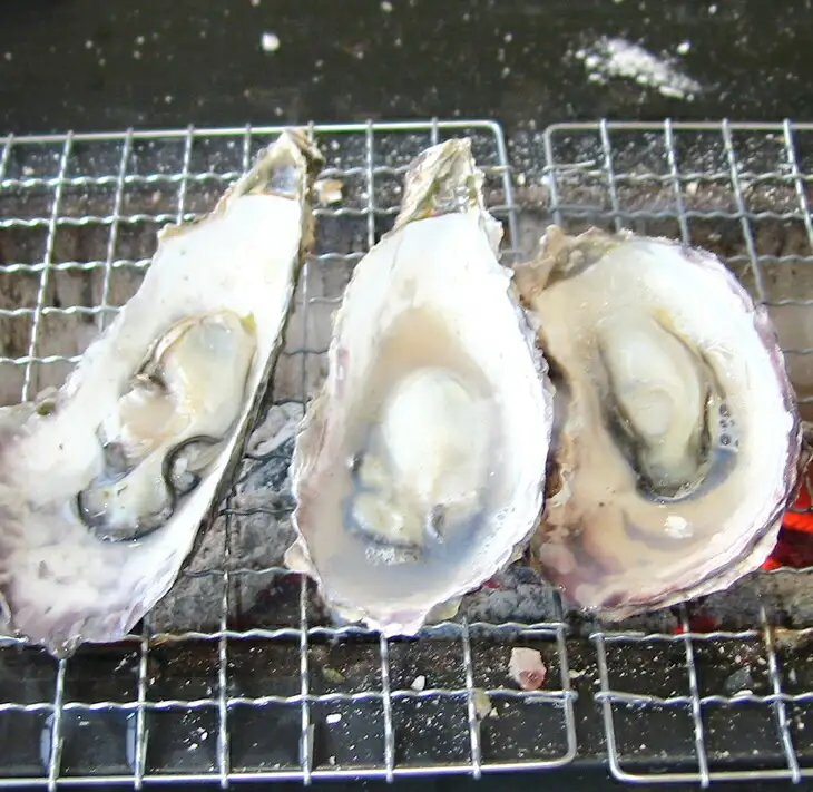 牡蠣 能登かき むき身と殻付きセット・加熱用［むき身500g・殻付き25個～30個］ ※2026年12月～発送 ｜ 牡蠣 殻付き むき身