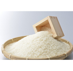 【発送時期が選べる】【定期便】石川県七尾産コシヒカリ（精米 10kg）×全3回 ※2024年2月上旬～5月下旬頃に順次発送予定