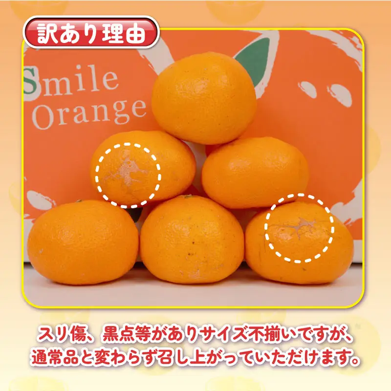 【11/20～12/20発送予定】 みかん 訳あり 完熟 大玉みかん 10kg 杉本屋 B010-143017