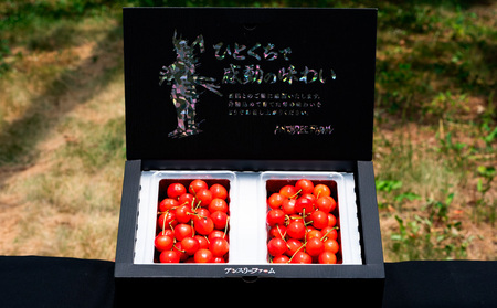 さくらんぼ 「佐藤錦」500g Lサイズ以上 山形産【令和9年産先行予約】 FS25-927