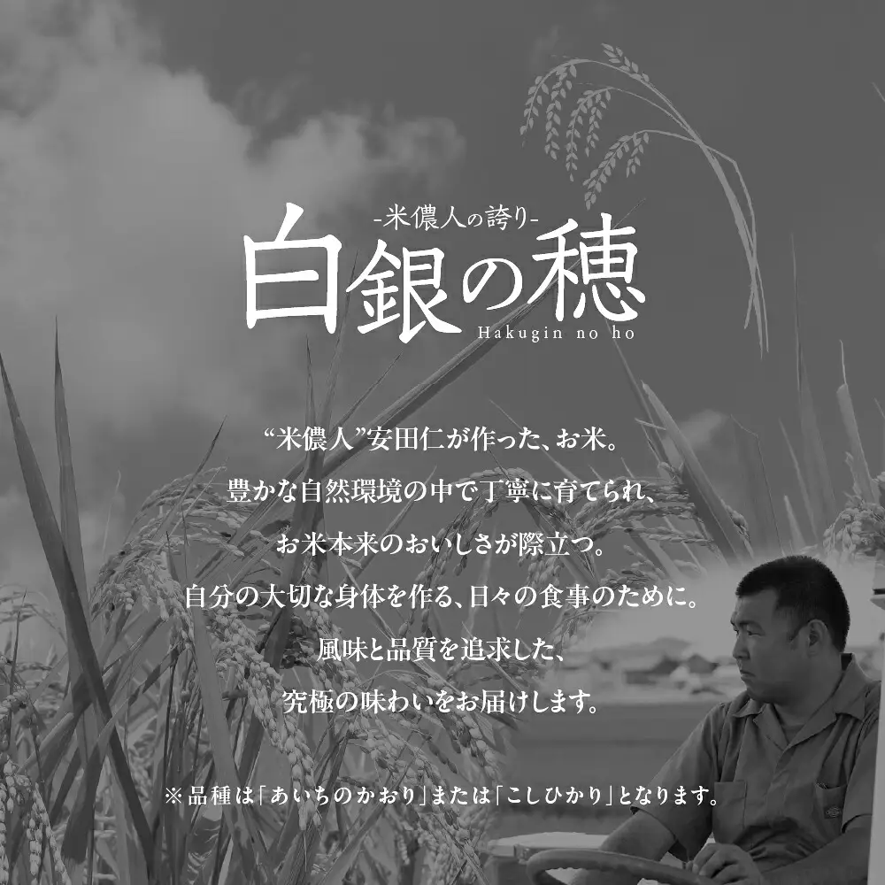 令和8年産 米儂人の誇り 白銀の穂 20kg お米 お米 お米 お米 お米