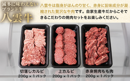 八雲牛 焼肉セット 総重量 600g 牛肉 もも カルビ 切り落とし 赤身
