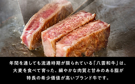 八雲和牛 ステーキセットB(ステーキソース入) ※沖縄・離島への配送不可
