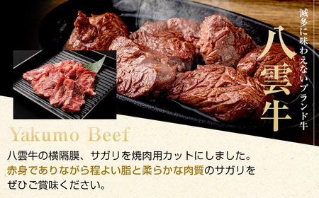八雲牛 サガリ 合計600g (200g×3パック) ※沖縄・離島への配送不可