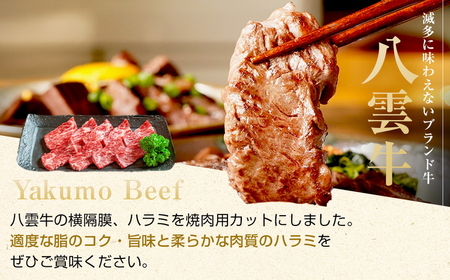 八雲牛 ハラミ 合計600g (200g×3パック) ※沖縄・離島への配送不可