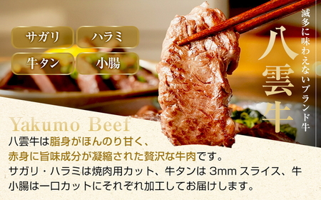 八雲牛 内臓セット（サガリ・ハラミ・牛タン・小腸）総重量600ｇ ※沖縄・離島への配送不可