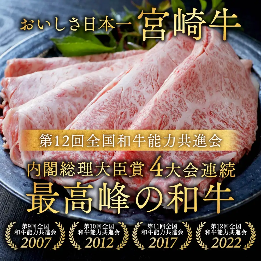 牛肉 宮崎牛 赤身&霜降り スライス 牛肉〔18E-N2-001-1kg-S4A6-CF〕