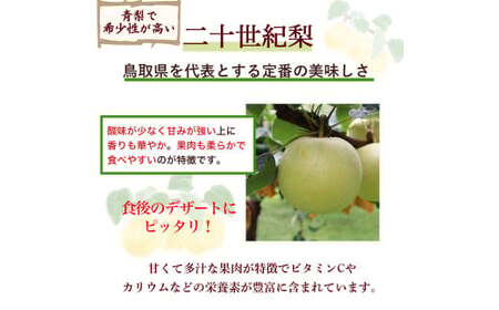【期間限定】令和8年産 二十世紀梨 5kg（10～20玉） 倉吉産 福井果樹園 二十世紀梨 20世紀梨 梨 なし ナシ ブランド梨 果物 フルーツ 先行予約 和梨 数量限定