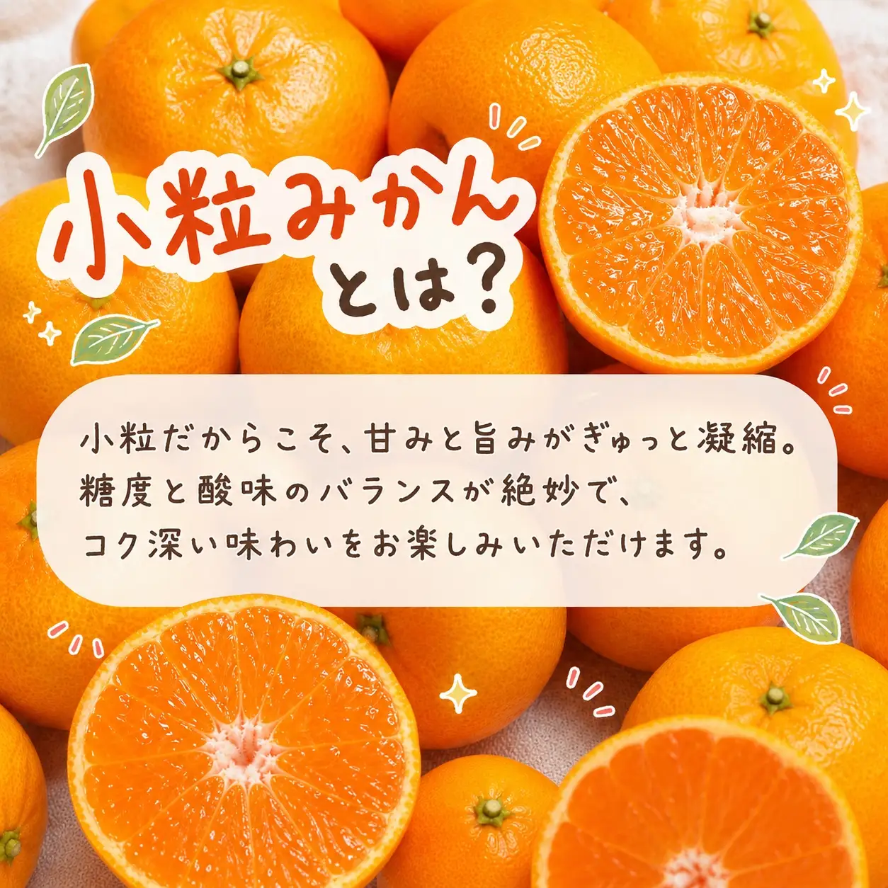 有田の小粒みかん5kg　(S～3Sサイズ混合) ※2026年11月下旬～2027年1月下旬頃に順次発送予定 / みかん ミカン 蜜柑 温州みかん 柑橘 フルーツ 果物 くだもの 和歌山【uot845】 