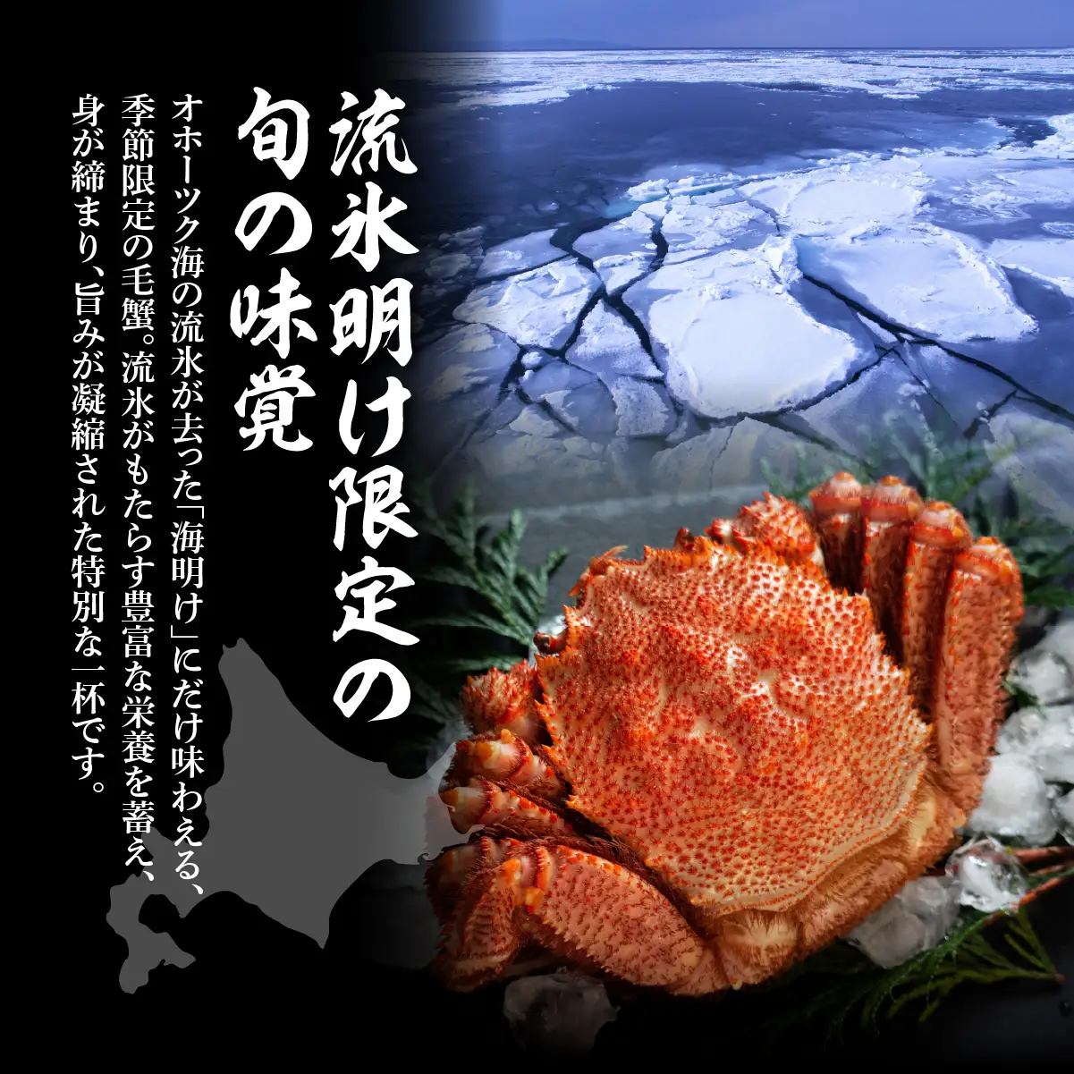 【先行予約】 流氷海明け・活〆茹で毛蟹1尾約800g冷蔵便届け 【2027年4月～順次発送開始予定】 ABAO110