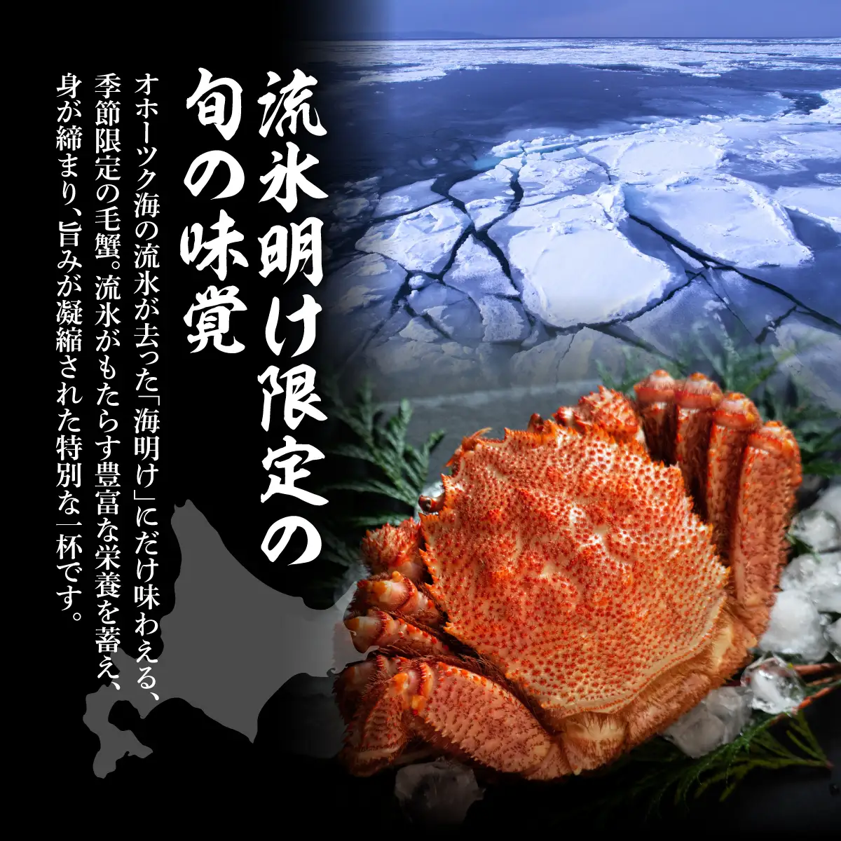 【先行予約】流氷海明け・活〆茹で毛蟹2尾で約800g冷蔵便届け【2027年4月～順次発送開始予定】 ABAO111