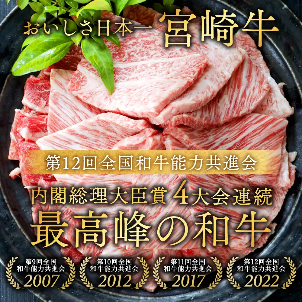 牛肉  宮崎牛 赤身＆霜降り 1kg 牛肉〔18E-N2-002-1kg-S4A6-CF〕