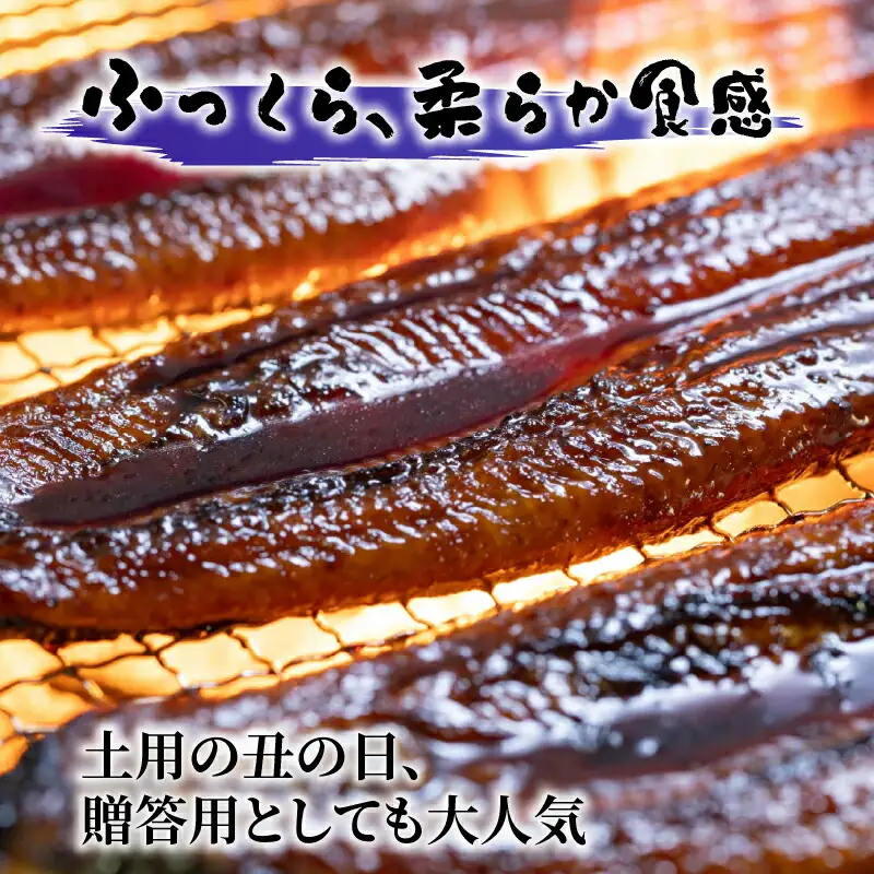 【通常用】国産うなぎ四万十桜 蒲焼き約140g×3尾 完全無投薬 蒲焼き