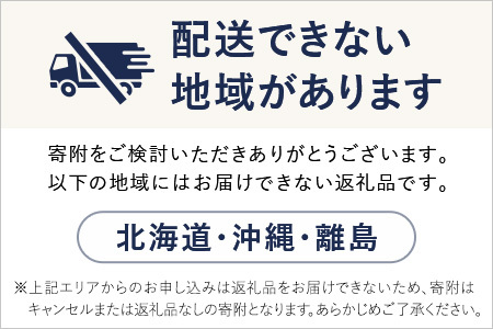 【先行予約】いちご 古都華いちご 4P idm002【2027年1～4月発送】