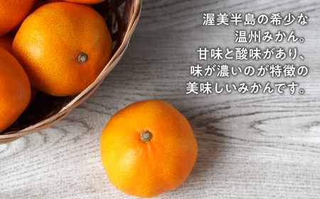 【11月お届け】大橋農園の温州みかん 5kg ご家庭用 みかん