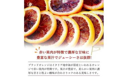 希少な柑橘!紀州有田産ブラッドオレンジ約5kg 【ご家庭用】※2027年3月中旬頃?3月下旬頃に順次発送 (お届け日指定不可) 【uot853】