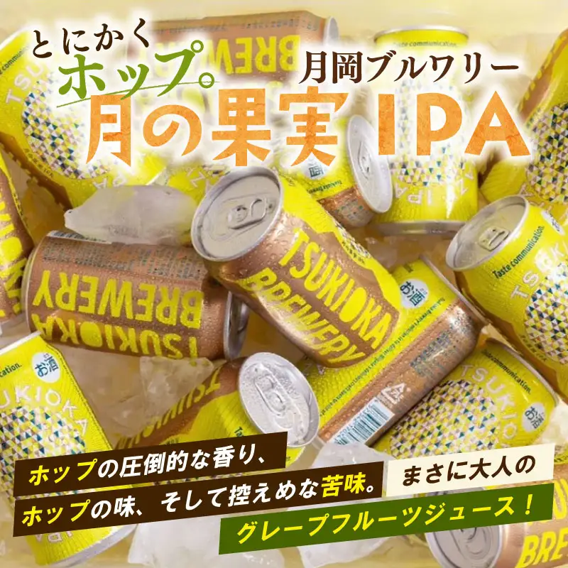  地ビール ＼月岡ブルワリー 月の果実   IPA／  地ビール 350ml 6本  shinbo013