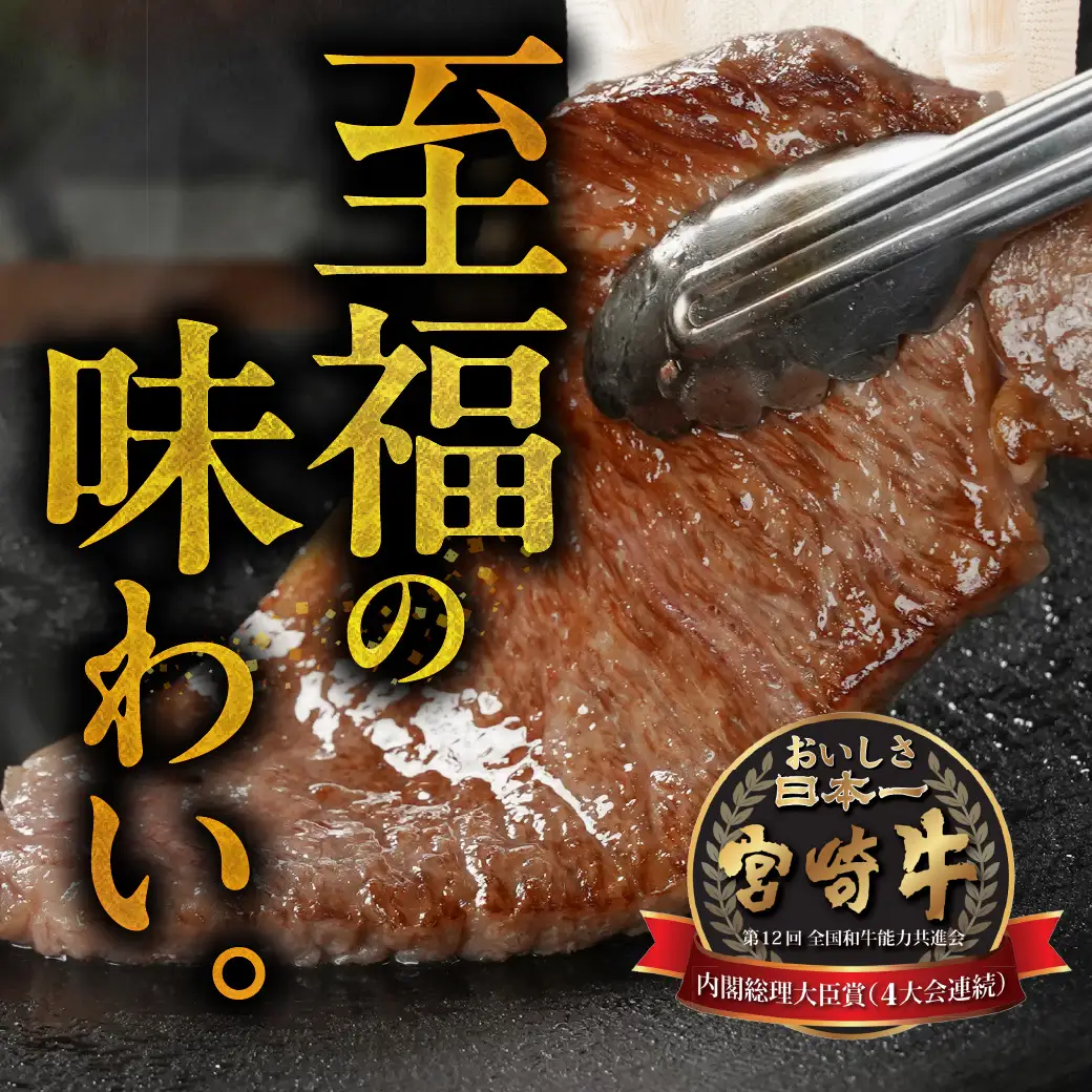 宮崎牛ロースステーキ4枚 計1000g〔33-N2-011-1kg〕_(都城市) ロースステーキ 1000g 1kg 宮崎牛 牛肉 宮崎県産 国産 ロース肉 ステーキ肉 高級 とろける ミヤチク
