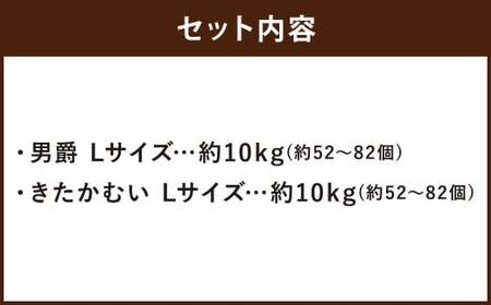じゃがいも 男爵 きたかむい Lサイズ 各約10kg×1箱 計約20kg （JA） ジャガイモ 芋 いも イモ 食べ比べ 食べくらべ セット 国産 【2027年1月上旬～2月下旬迄発送予定】