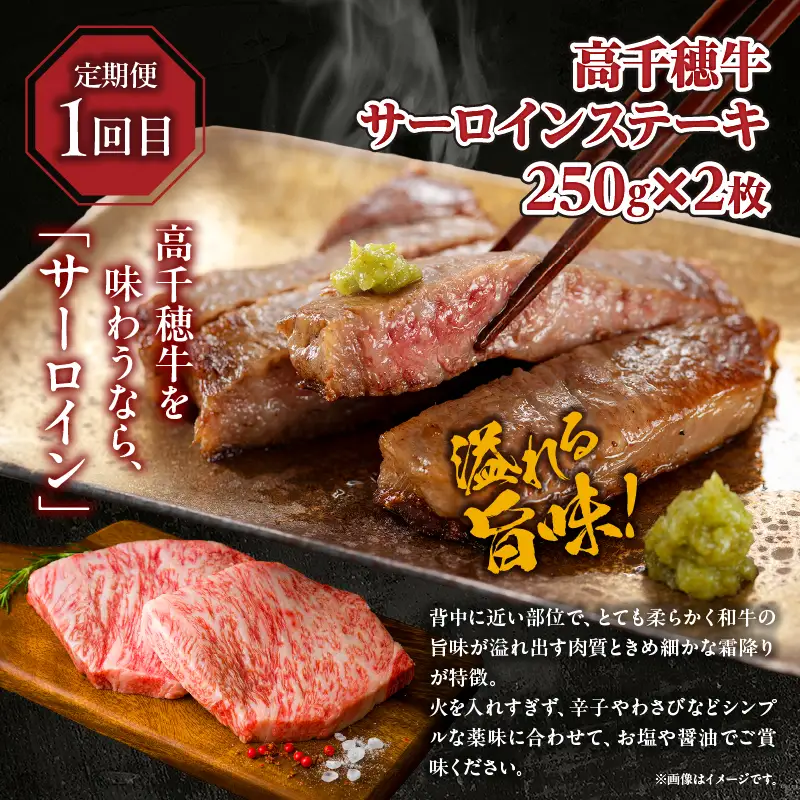 【3か月定期便】 高千穂牛ステーキ定期便 牛肉 肉 お肉 サーロイン ステーキ 赤身 赤身ブロック 定期便 定期 国産牛 ブランド牛 和牛 ローストビーフ  ハンバーグ 国産 贈答 贈り物 簡単調理 おかず 普段使い 宮崎県 高千穂 _Tk002-t083